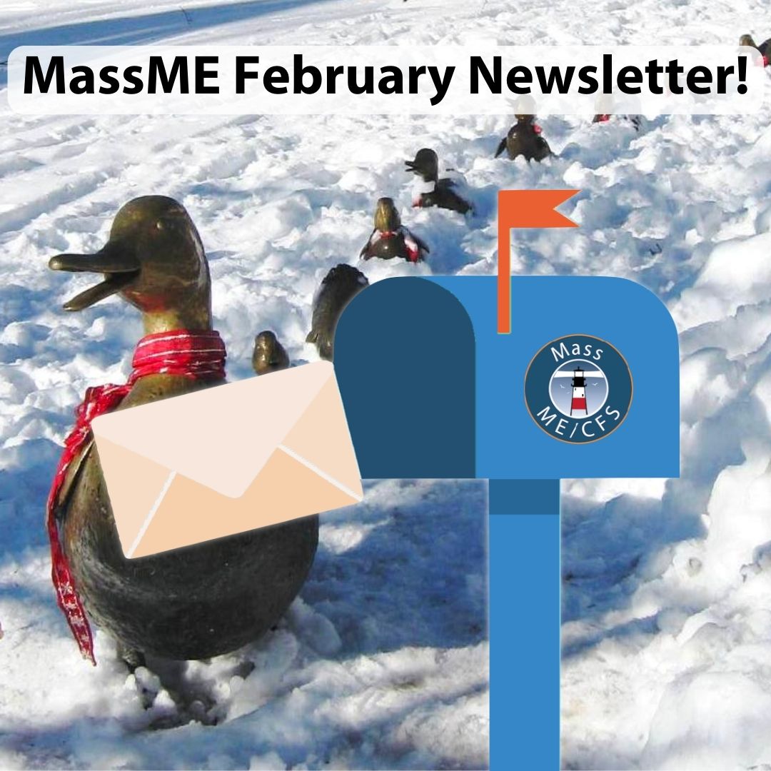 MassME January Newsletter